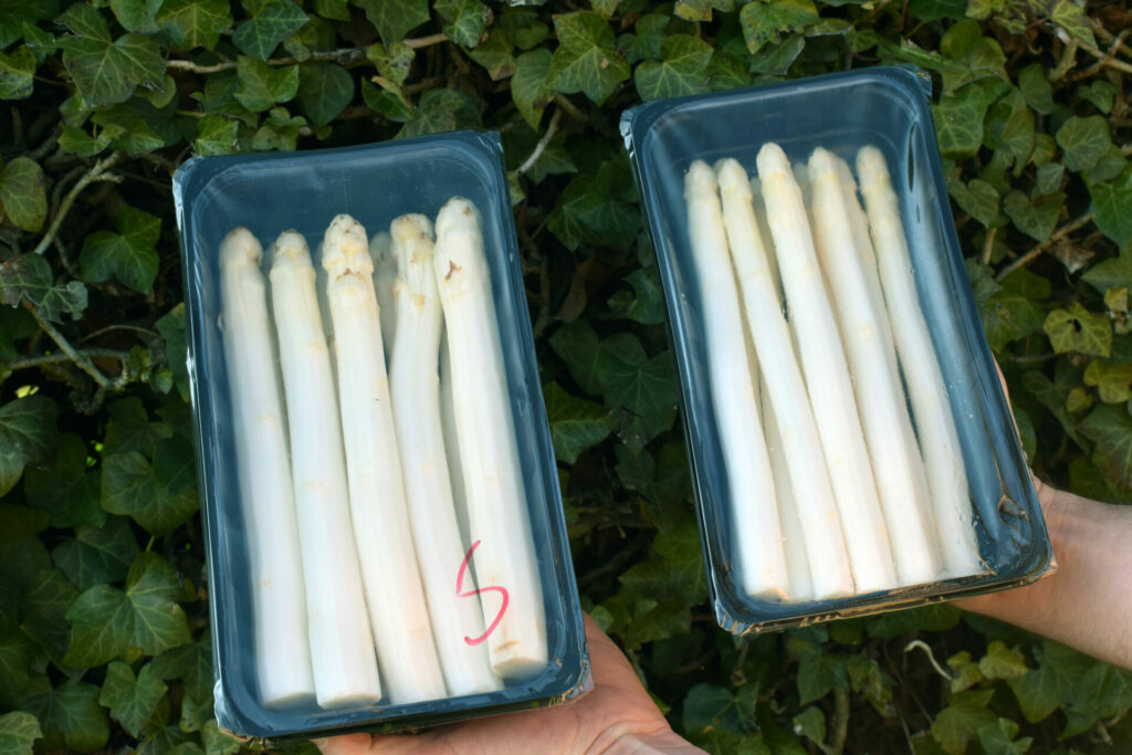 asperges-automaten-boer-in-the-box